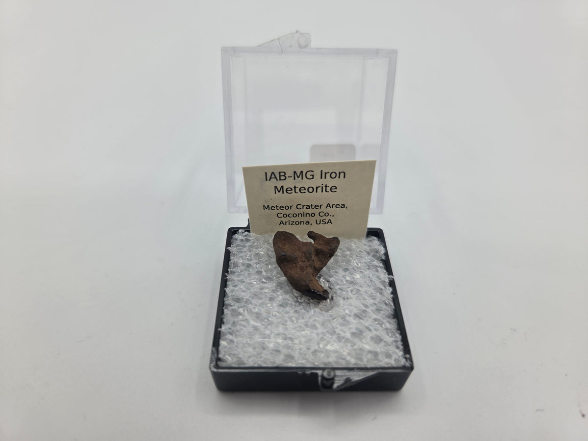 Meteorite