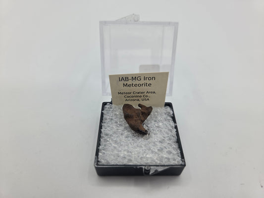 Meteorite