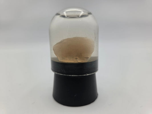 Opalized Wood (Copy 5)