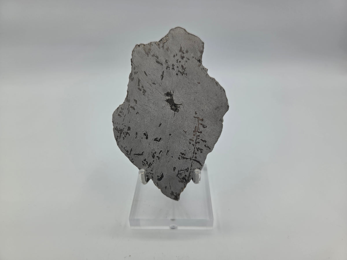 Meteorite