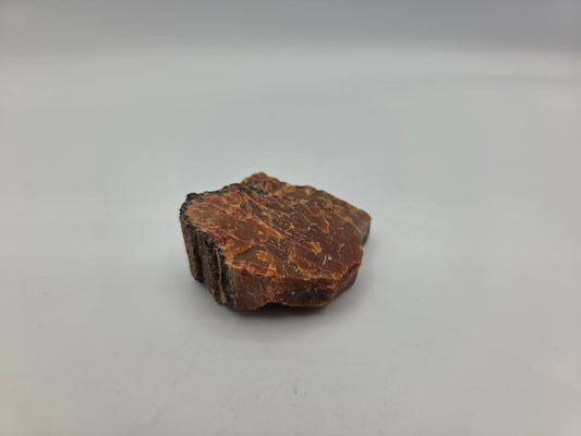 Petrified Wood