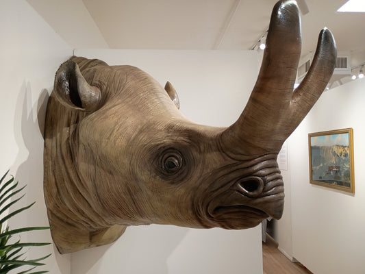 Megacerops bust