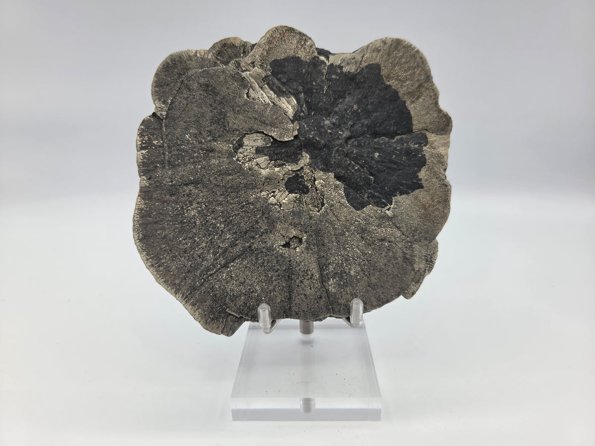 Pyrite Sundisk