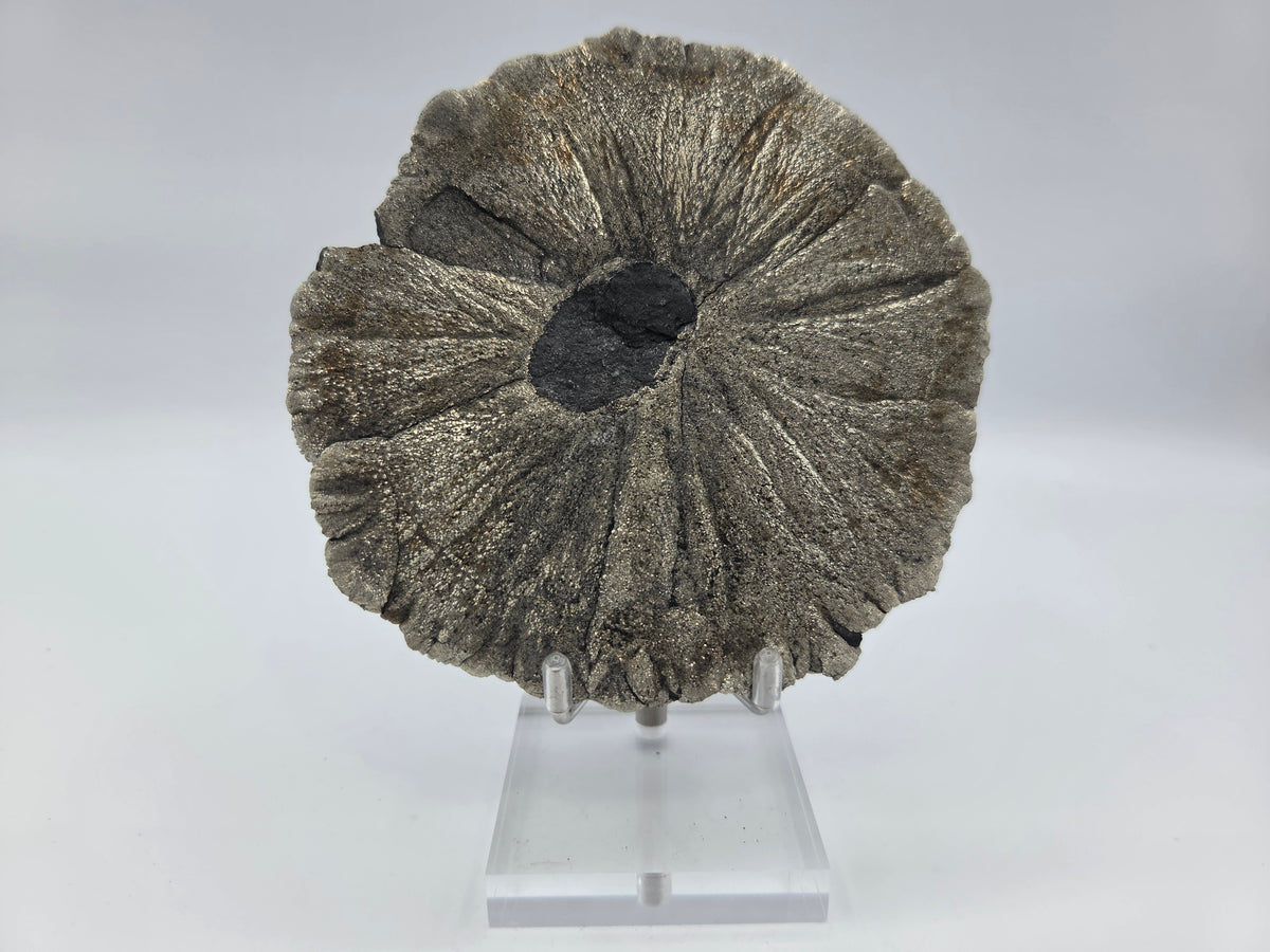 Pyrite Sundisk