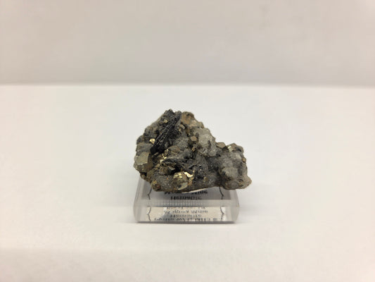 Pyrite with Quartz