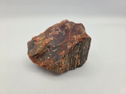 Petrified Wood
