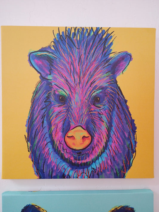 Javelina canvas print