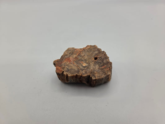 Petrified Wood