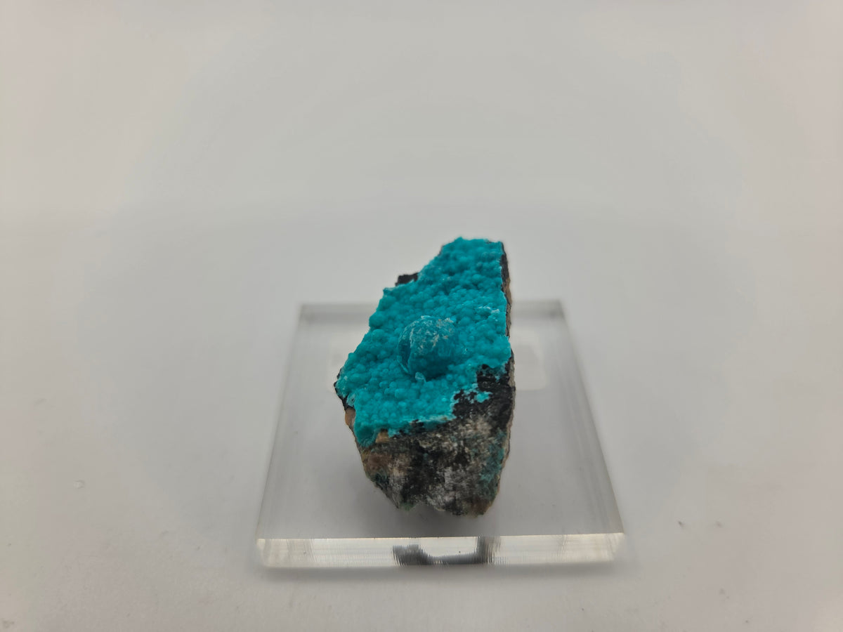 Chrysocolla (Copy 2)