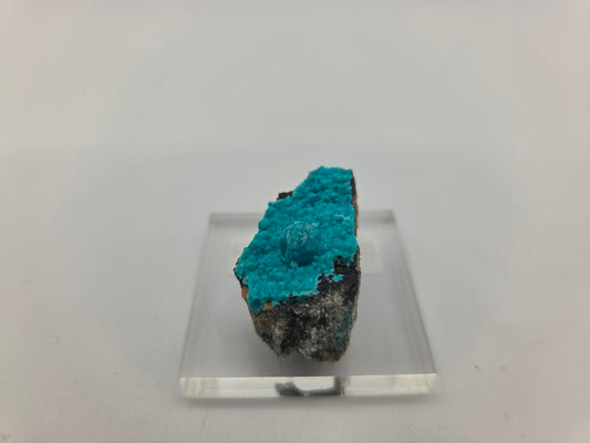 Chrysocolla (Copy 2)