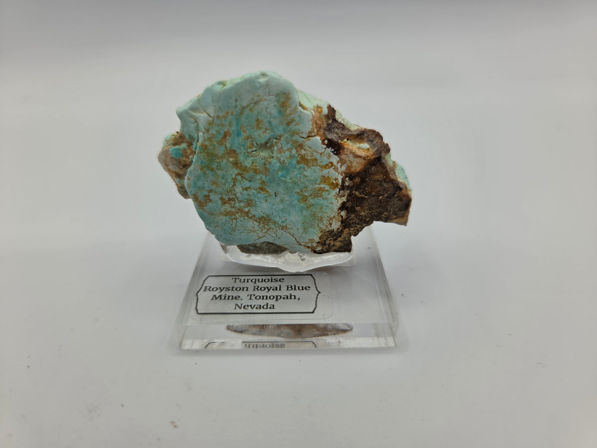 Turquoise