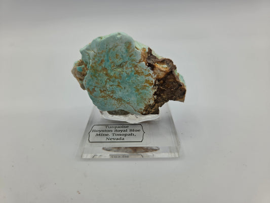 Turquoise