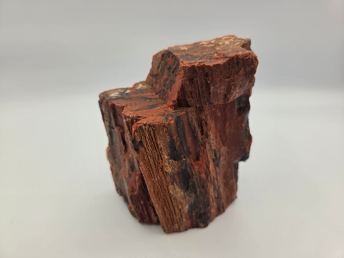 Petrified Wood