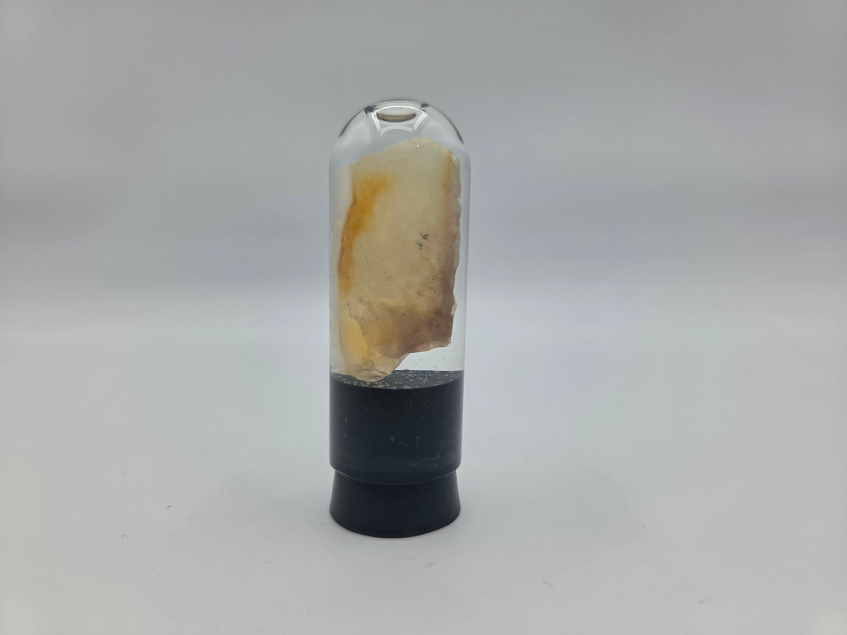 Opalized Wood