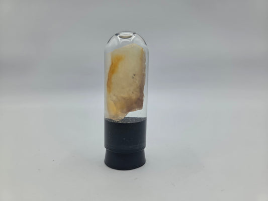 Opalized Wood