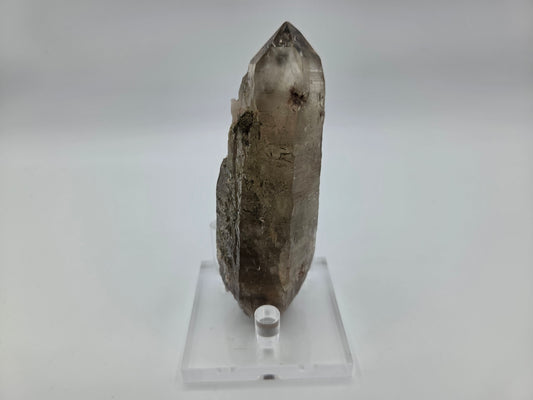 Smoky Quartz with Epidote