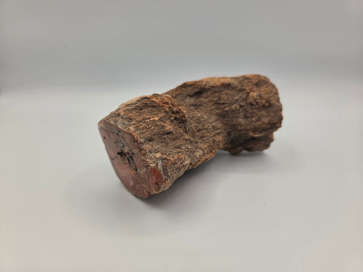 Petrified Wood