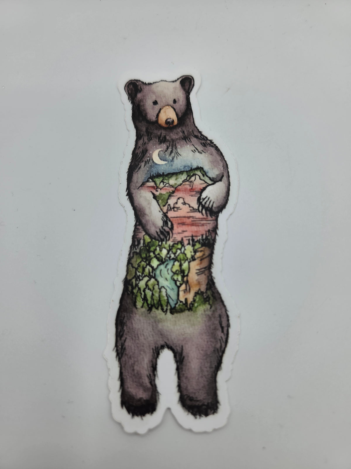 Bear sticker