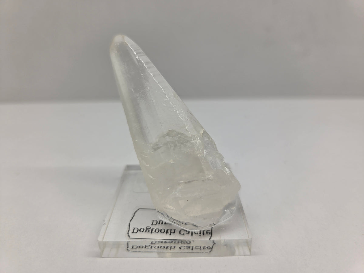 Dogtooth Calcite