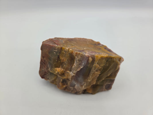 Petrified Wood