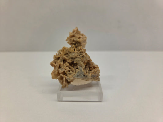 Quartz after Wulfenite