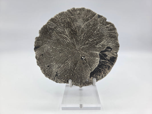 Pyrite Sundisk