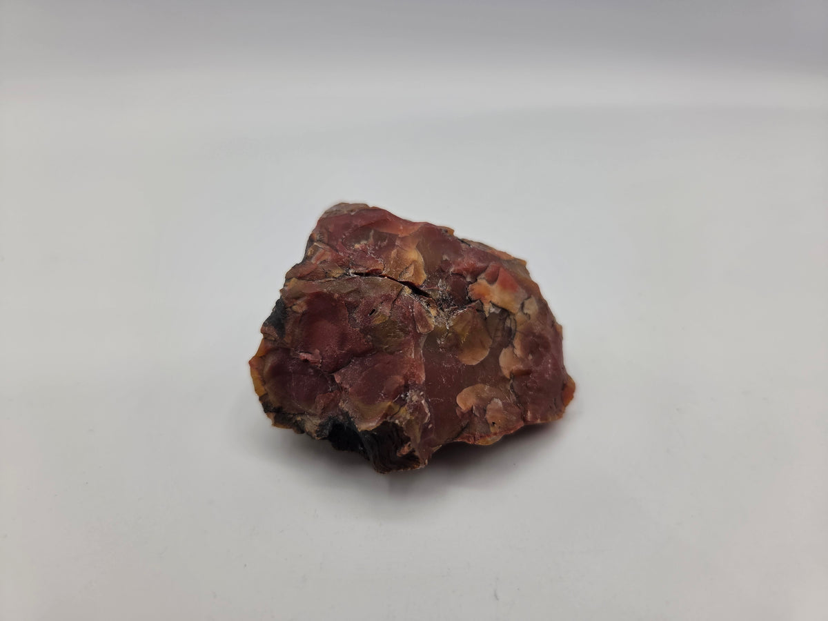Petrified Wood