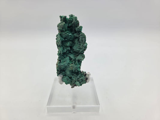 Malachite after Azurite