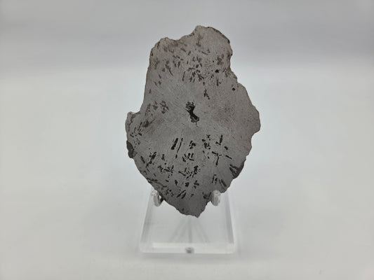 Meteorite