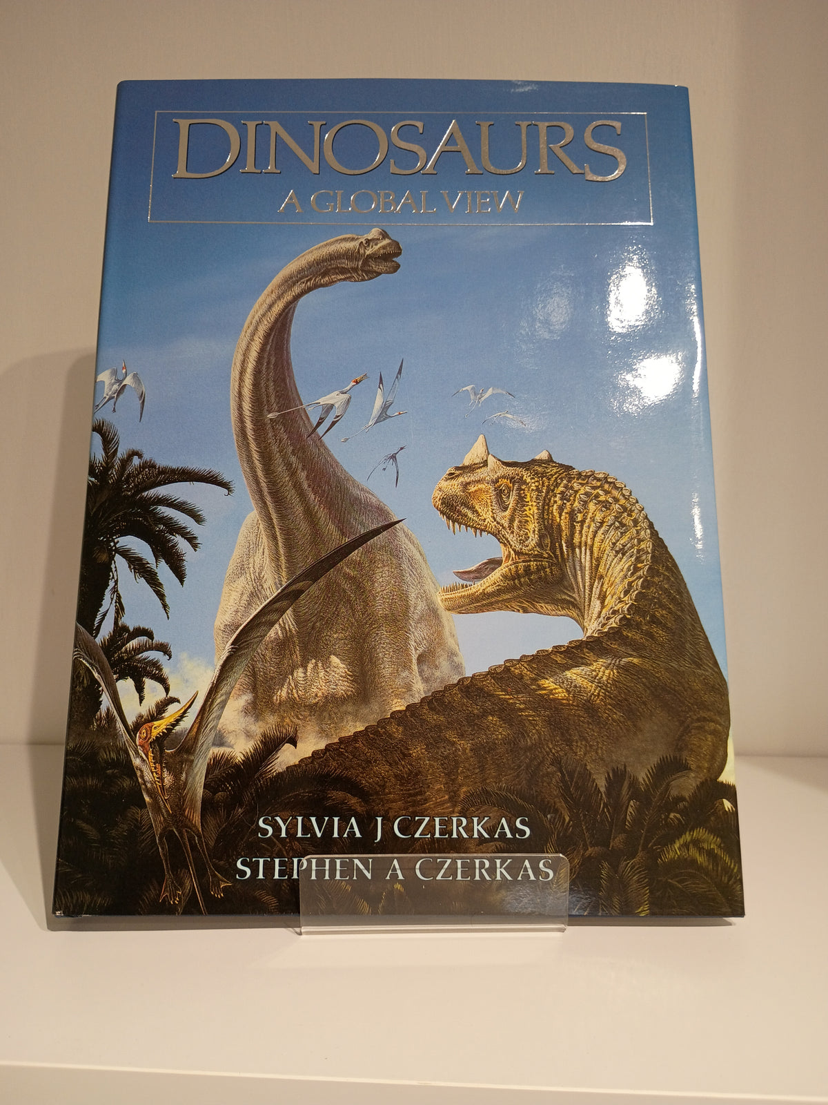 Dinosaurs. A global view hardcover
