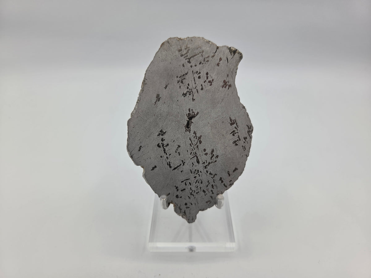 Meteorite