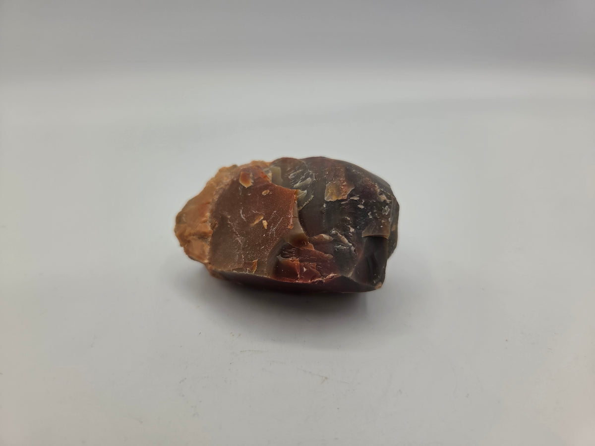 Petrified Wood