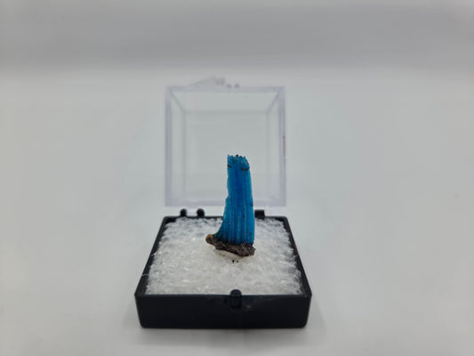 Chalcanthite