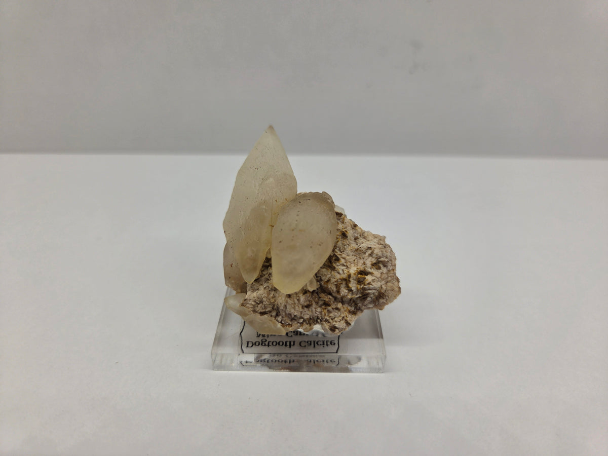 Dogtooth Calcite