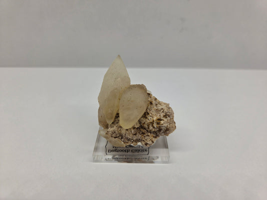 Dogtooth Calcite