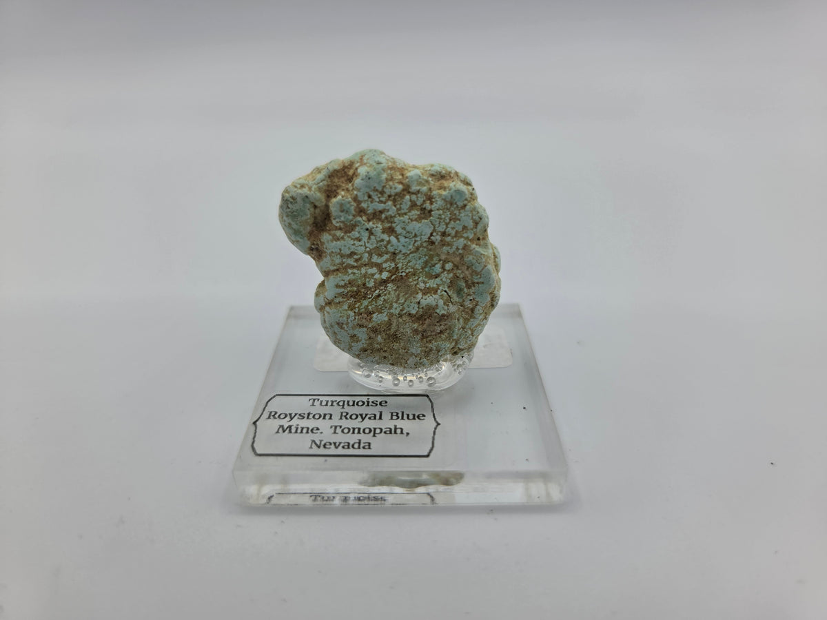 Turquoise