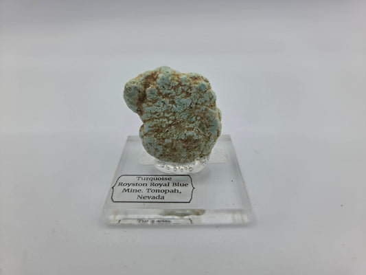Turquoise