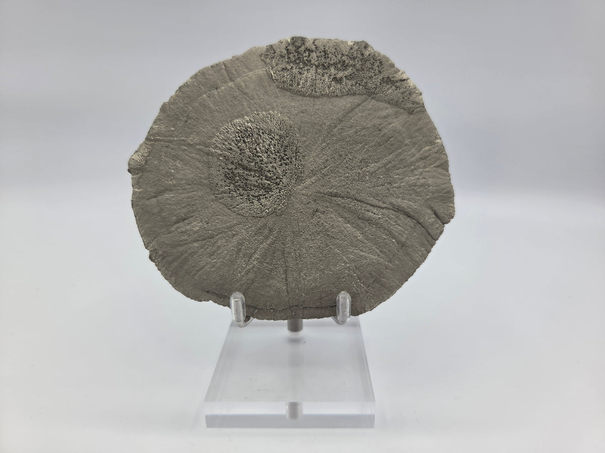 Pyrite Sundisk