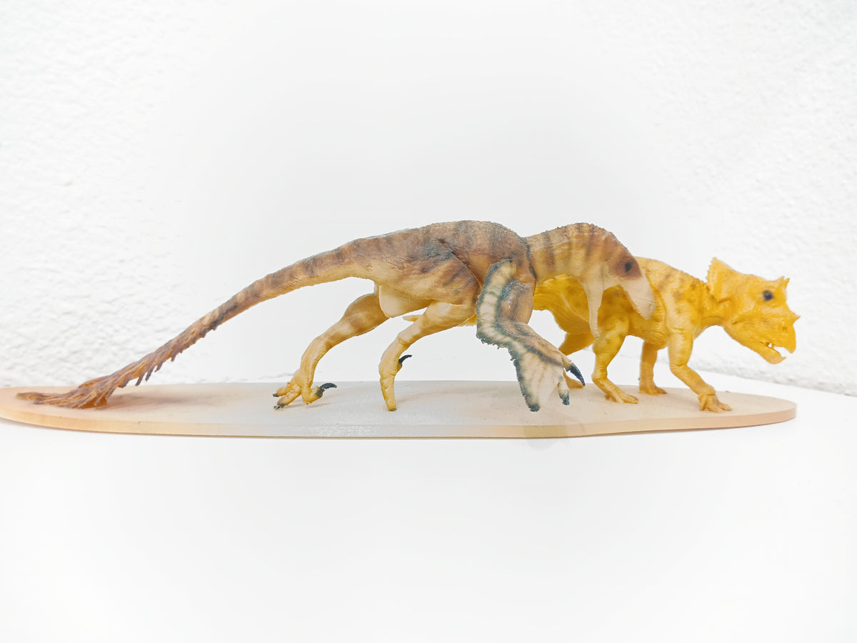 Raptor attack