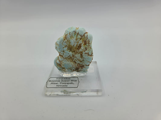 Turquoise