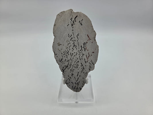 Meteorite