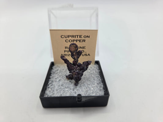 Cuprite on Copper