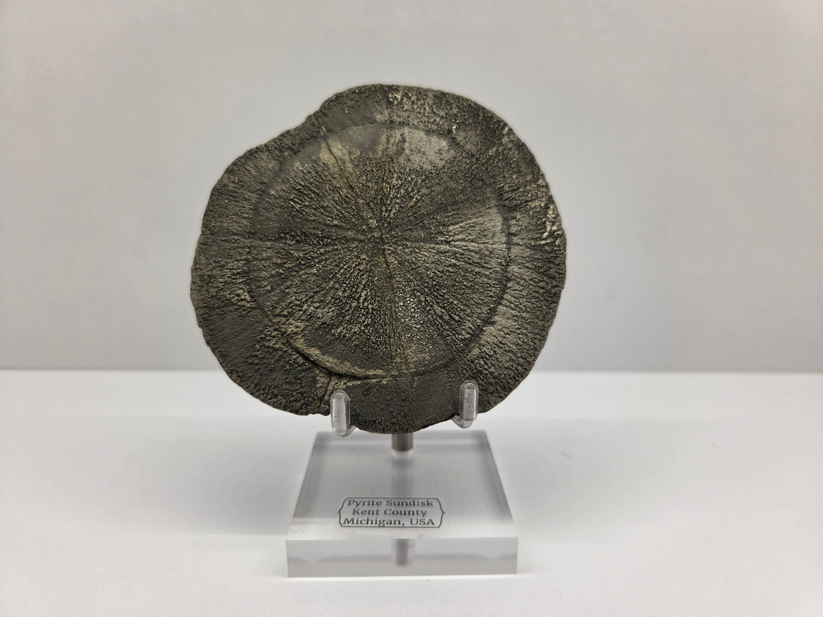 Pyrite Sundisk