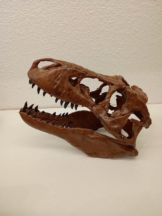 8" rex skull