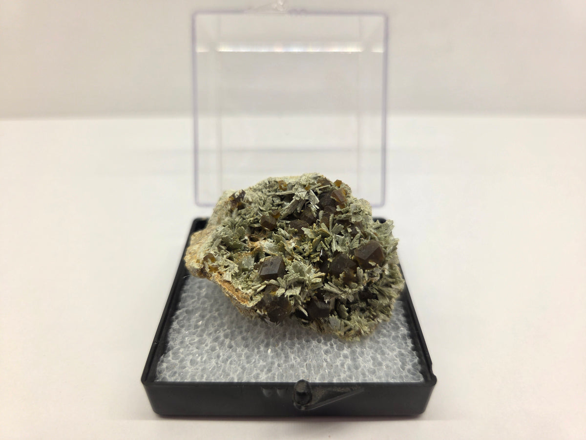 Garnet, Andradite with Tremolite