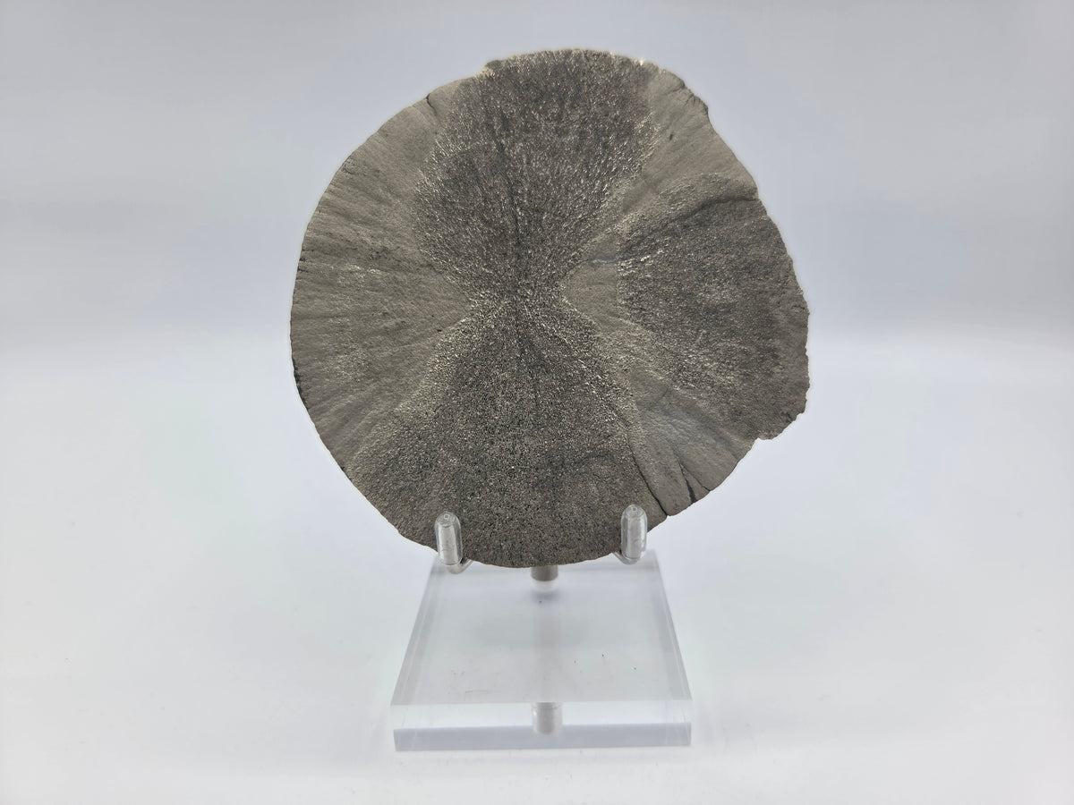 Pyrite Sundisk