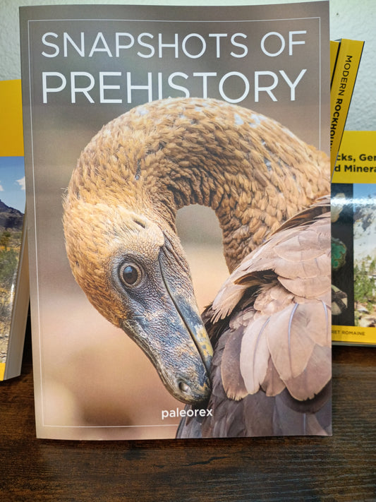 Snapshot of Prehistory