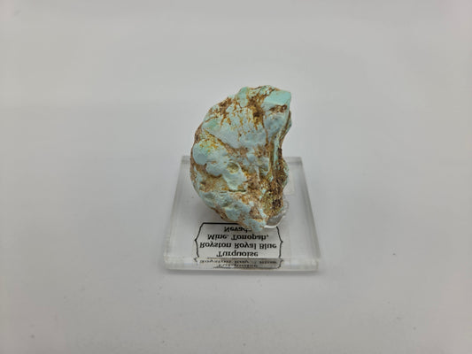 Turquoise