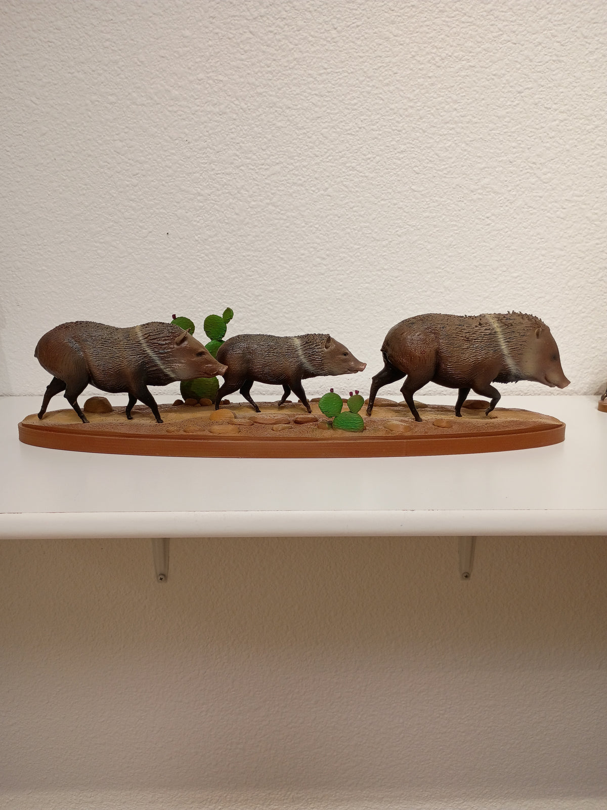 Javelina procession
