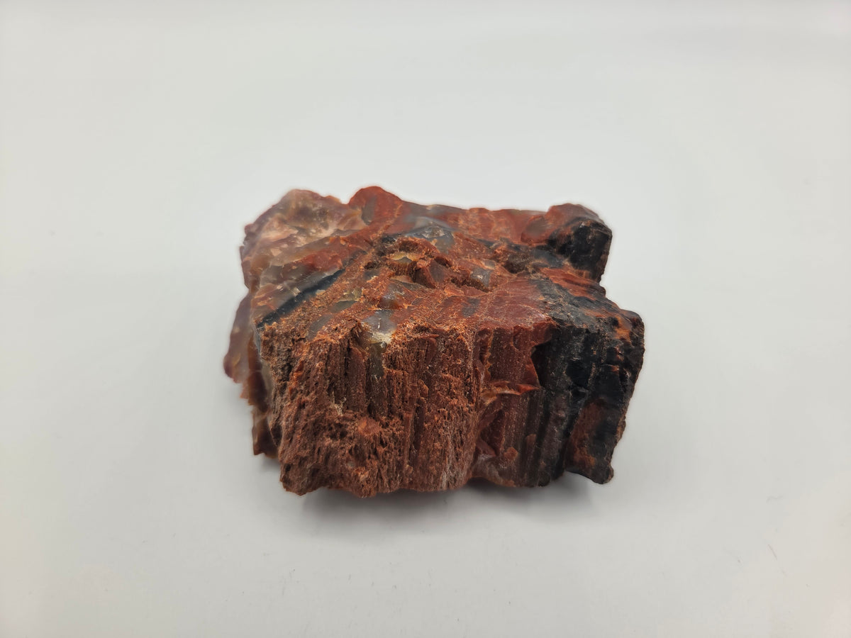 Petrified Wood